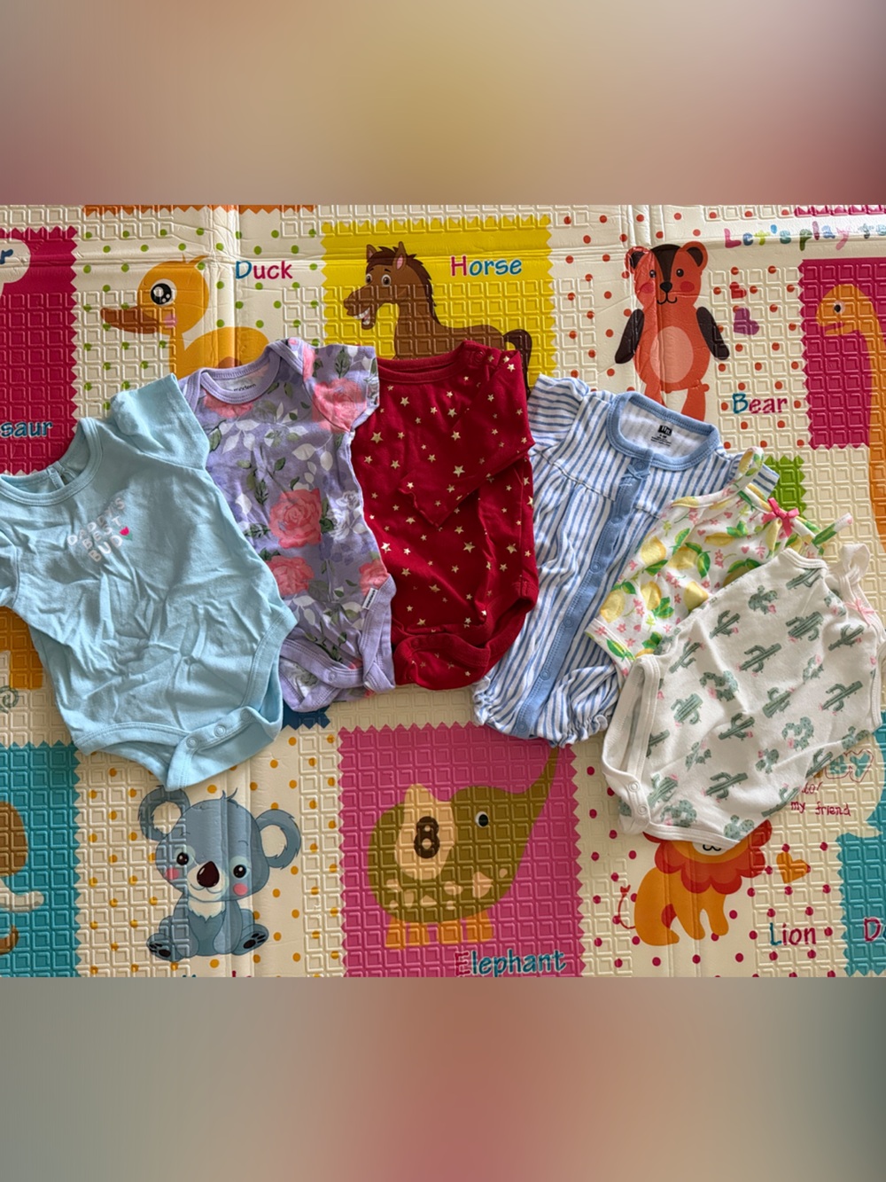 Baby Girls Short-Sleeve Bodysuit Pack - Mixed Colors